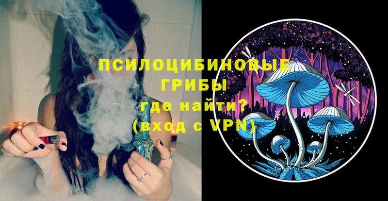 Галлюциногенные грибы Magic Shrooms  Калининец 